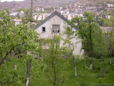 Tam boy resmi grebilmek iin tklayn