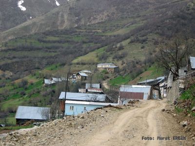 Tam boy resmi grebilmek iin tklayn