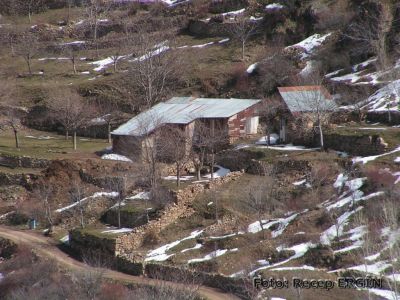 Tam boy resmi grebilmek iin tklayn