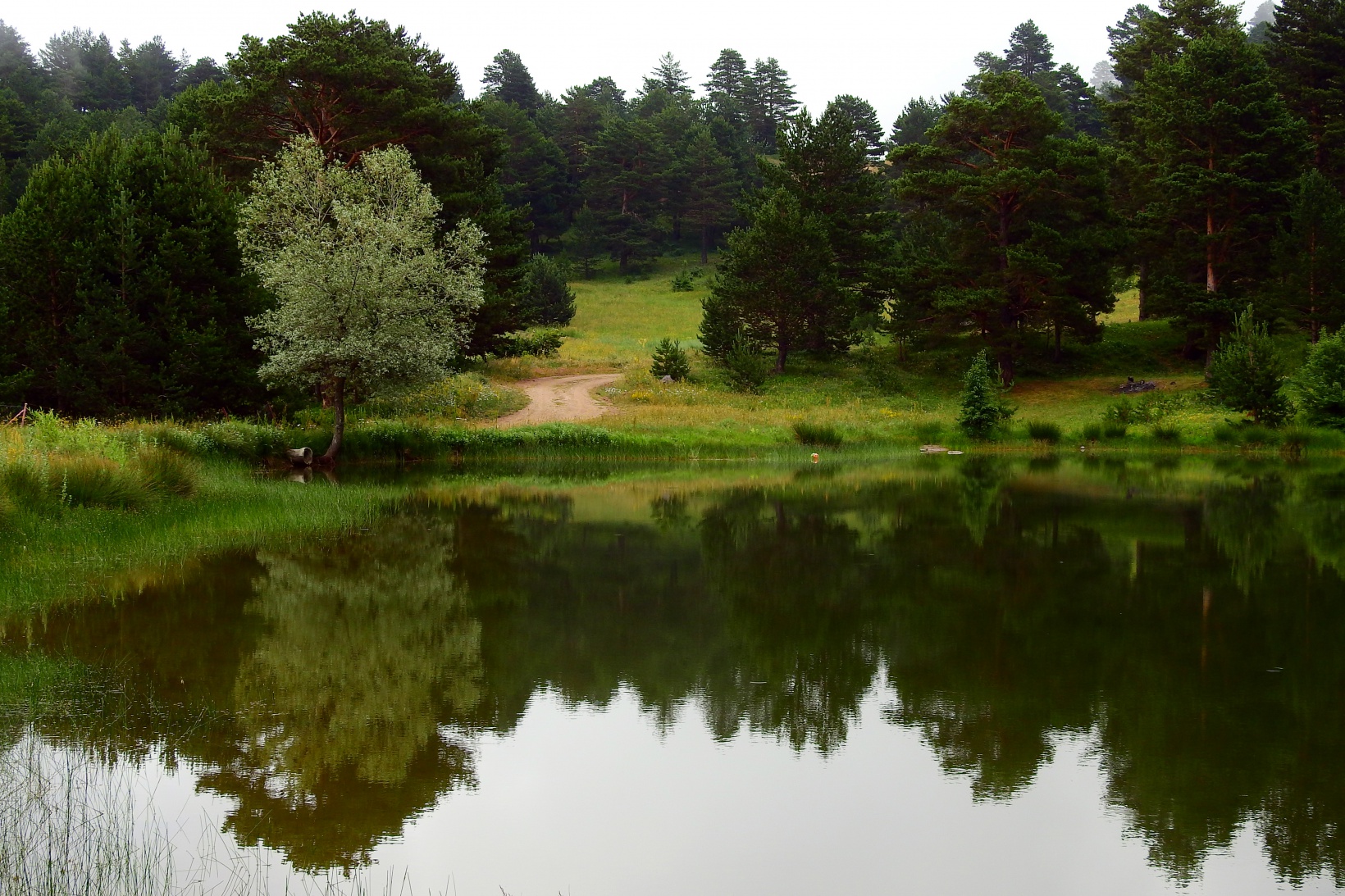 Fotoğraf: Metin Aydın