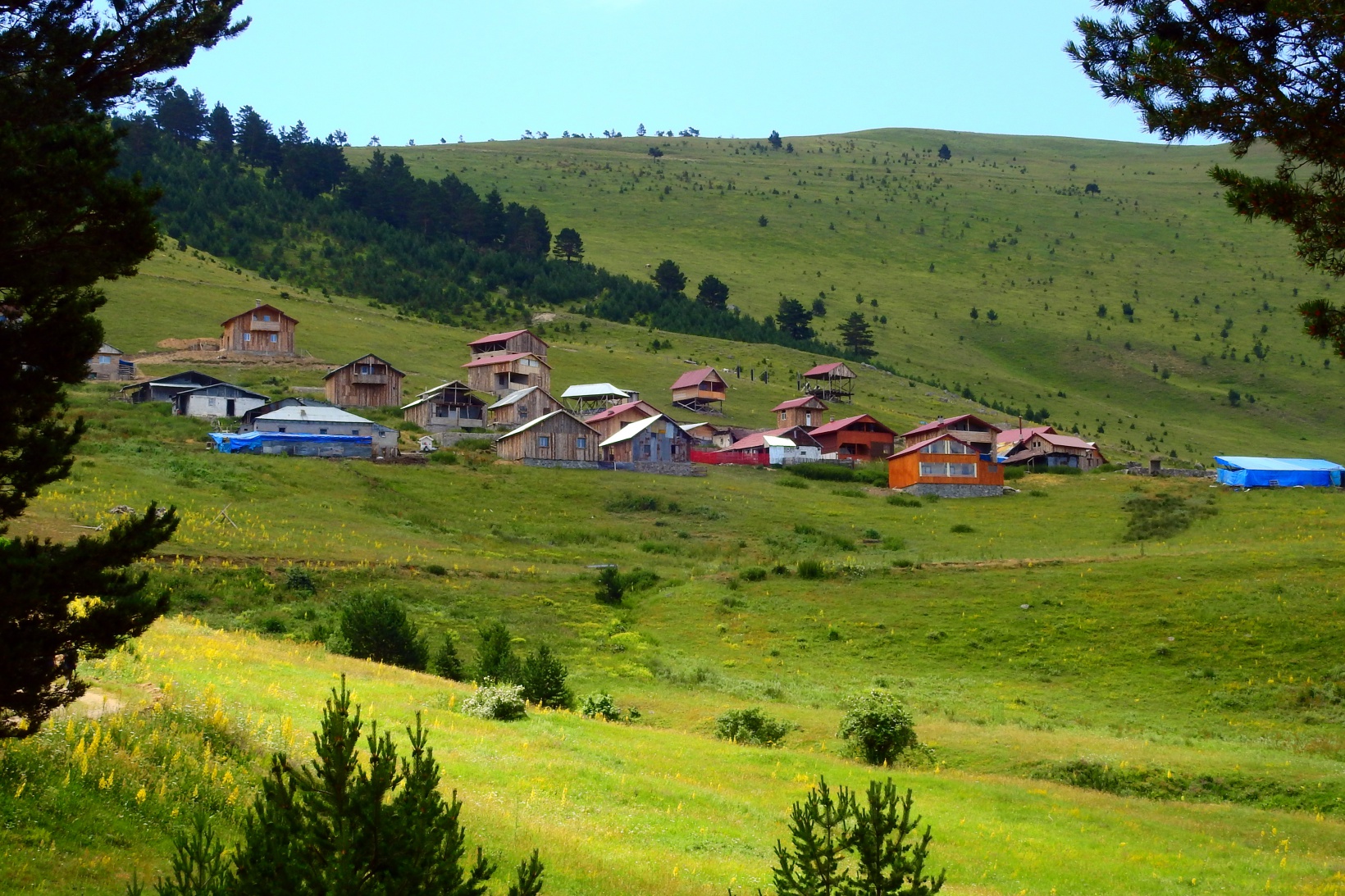 Fotoğraf: Metin Aydın