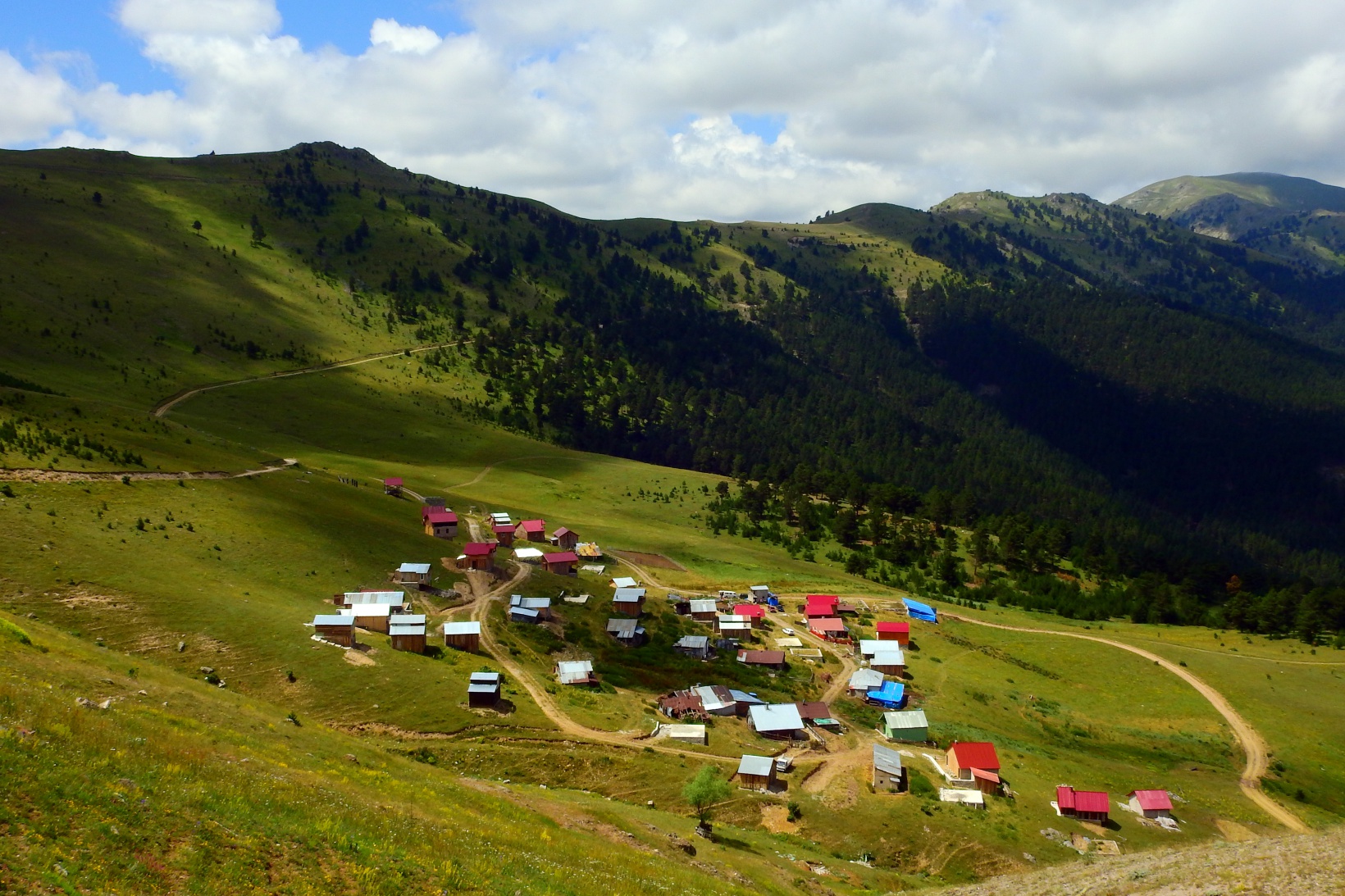 Fotoğraf: Metin Aydın