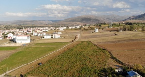 Lezzetiyle ünlü Kelkit Şeker Fasulyesinde hasat devam ediyor