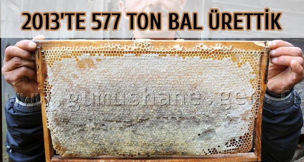 2013 Yılında 577 Ton Bal Ürettik