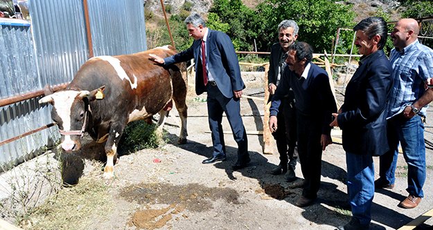 Kurban Bayramı Öncesi hazırlıklar tamamlandı