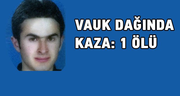 Vauk dağında kaza: 1 ölü