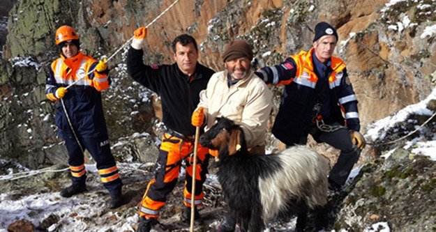 Mahsur kalan keçiler kurtarıldı