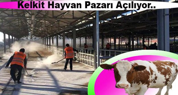 Kelkit'in Hayvan Pazarı yeniden açılıyor