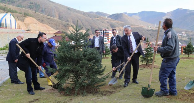 Gümüşhane Üniversitesinde bin ağaç toprakla buluştu