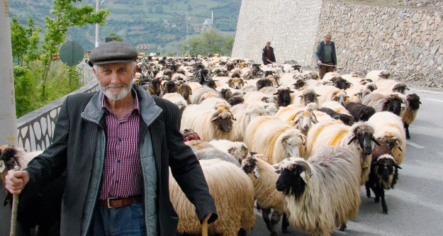 Asırlık göç başladı