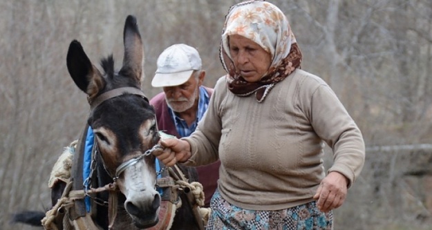 Zakire, Paşa ve Fıstık’ın Hikâyesi