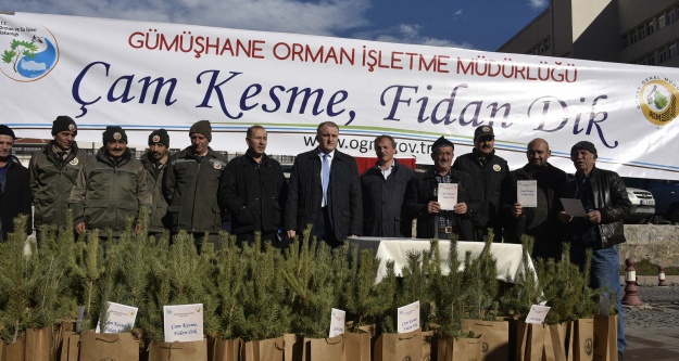 'Çam kesme, fidan dik'