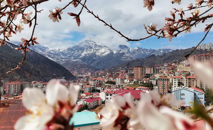 Bu fotoğraflar sosyal medyaya damga vurdu