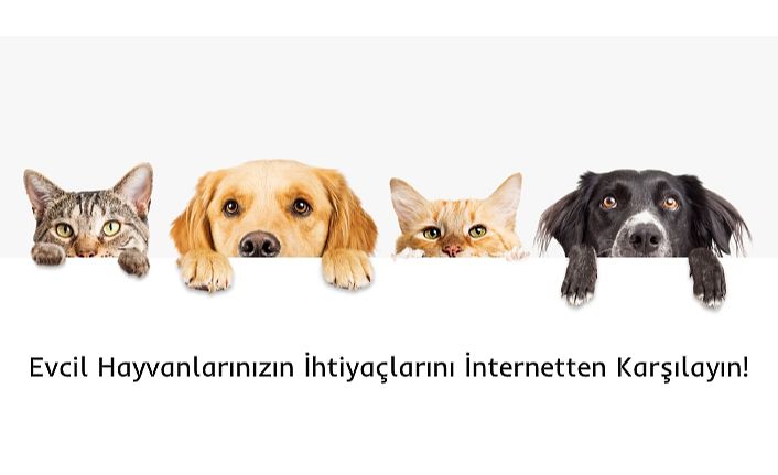 Evcil Hayvanlarınızın İhtiyaçlarını İnternetten Karşılayın!