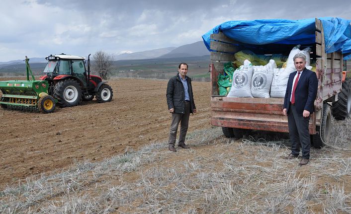 Gümüşhane’de üreticilere 160 ton yem bitkisi tohumu dağıtıldı