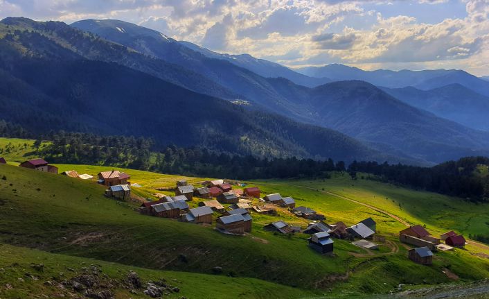 Gümüşhane yaylalarında görsel şölen başladı