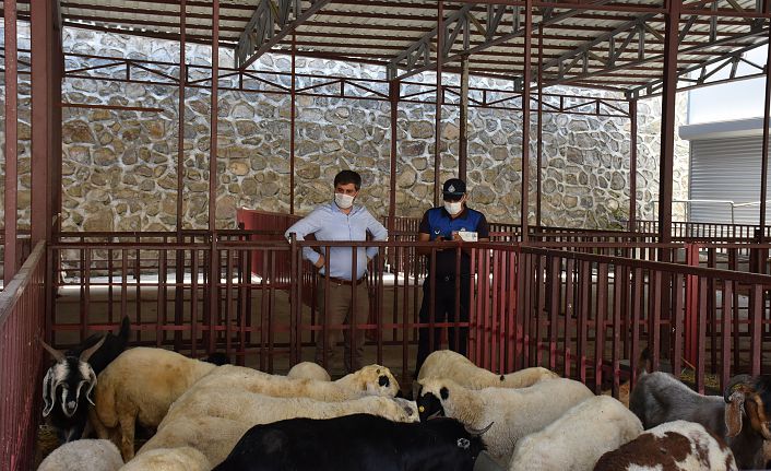 Hayvan pazarında tedbirler üst seviyeye çıkarıldı