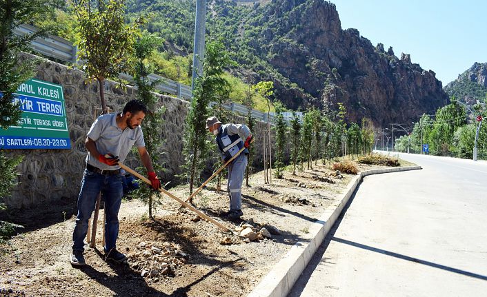 Torul’da peyzaj ve ağaçlandırma çalışmaları devam ediyor