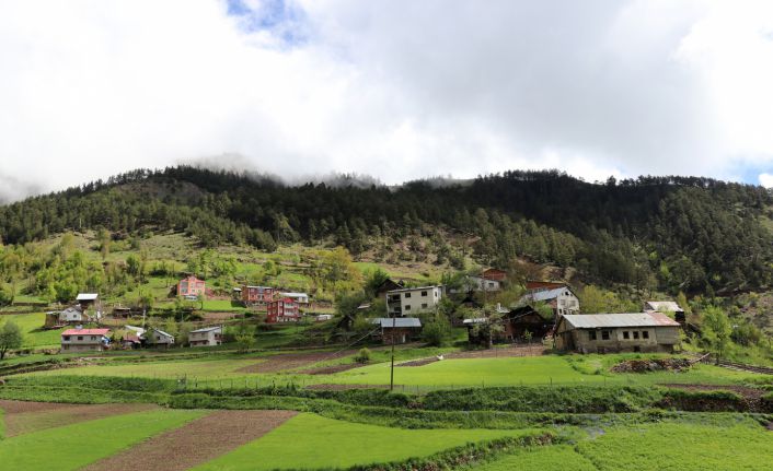 Gümüşhane’de bir köy karantinaya alındı