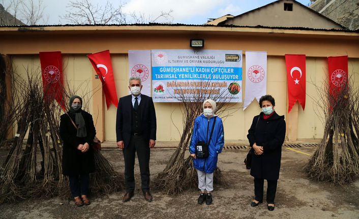 Gümüşhane’de kadın çiftçilere dikensiz kuşburnu fidanı dağıtıldı