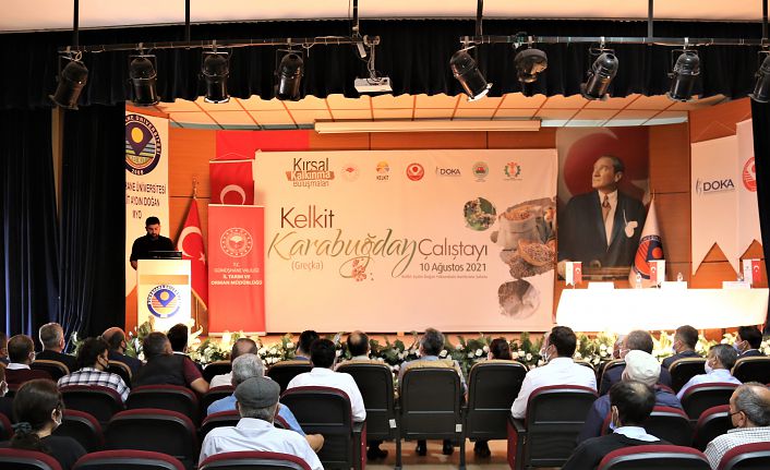 Kelkit’te Karabuğday Çalıştayı gerçekleştirildi