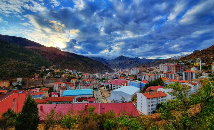 Daha iyi yaşam koşulları için gidiyor, eğitim için geliyorlar