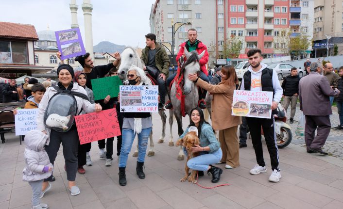 Gümüşhane’de hayvanseverlerden açıklama