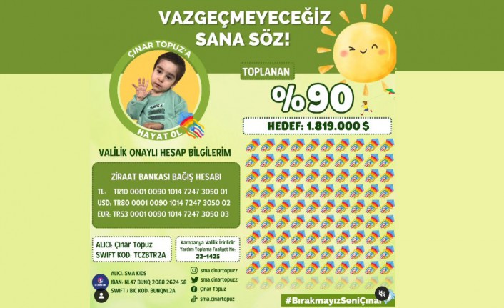 Sıra Çınar Topuz bebekte: % 90