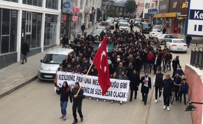 Kelkit’te Filistin bilinci yürüyüşü