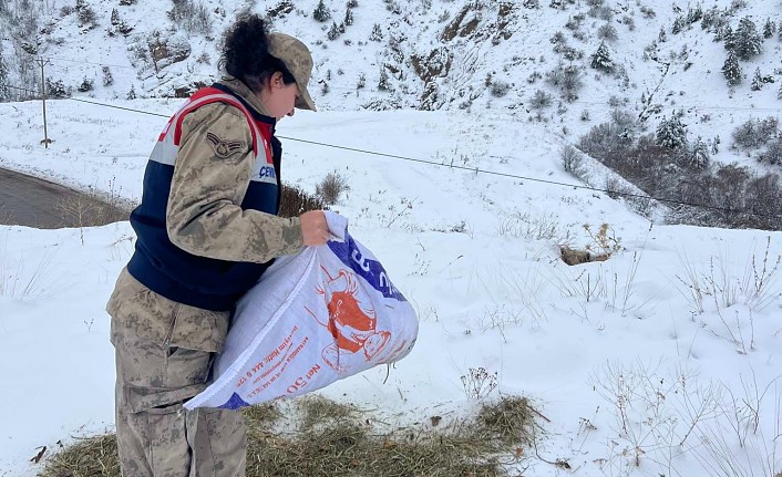 Jandarma yaban hayatını unutmadı