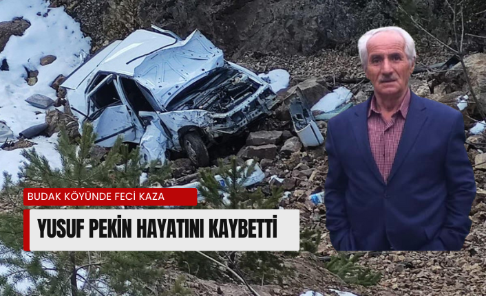 Uçuruma yuvarlanan otomobilin sürücüsü hayatını kaybetti