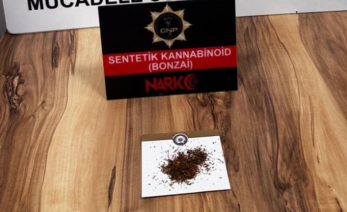 Gümüşhane’de bonzai ele geçirildi