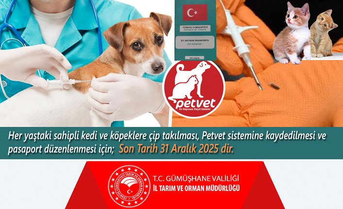 Kedi ve köpekler 31 Aralık tarihine kadar kimliklendirilecek