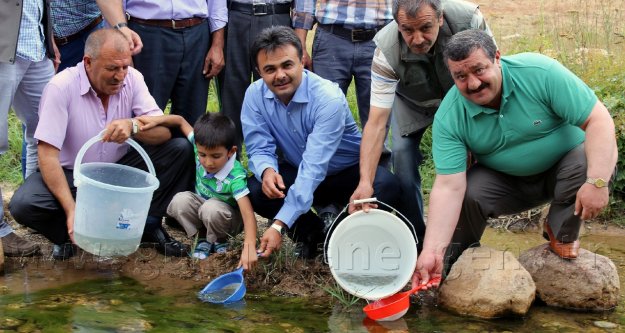 Balahor Deresine 8 Bin Adet Kırmızı Benekli Alabalık Bırakıldı