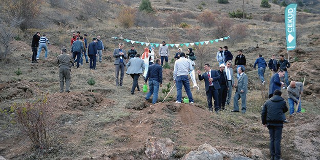 ÇEKÜD'den Süleymaniye'ye 700 Fidan