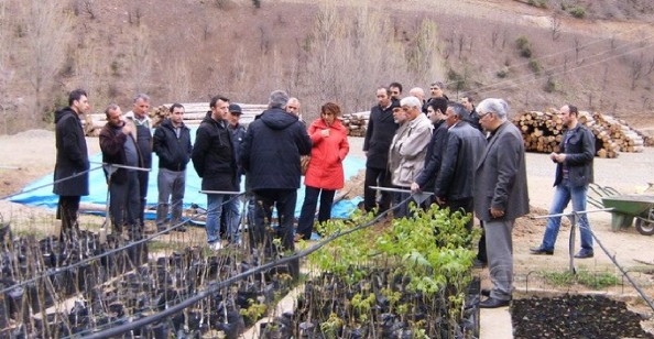 Ceviz Gen Bahçesi İçin Aşı Ustaları Yetiştiriliyor