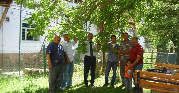 Dut Islahı Projesi Devam Ediyor