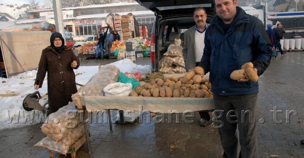 Genç Girişimci Şiran'da 200 Ton Patates Üretti