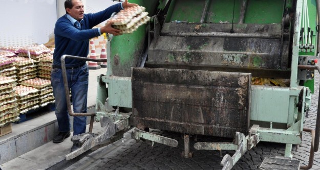 Gümüşhane'de 10 Bin Yumurta İmha Edildi