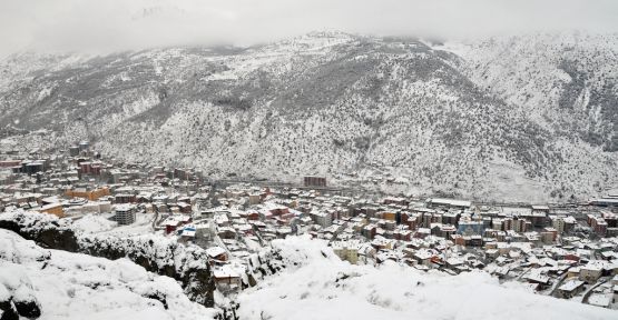 Gümüşhane'de 16 Bin Tescilli Araç Var