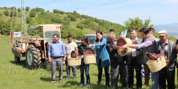 Gümüşhane'de Doğaya 500 Keklik Salındı