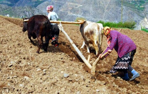 Gümüşhane'de En Çok Evli Kadınlar Ölüyor