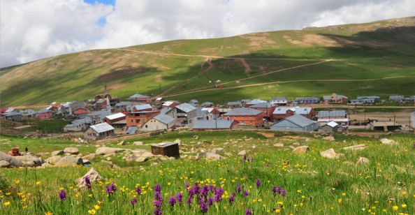 Gümüşhane’de Orman İçindeki 4 Alan Yayla İlan Edildi