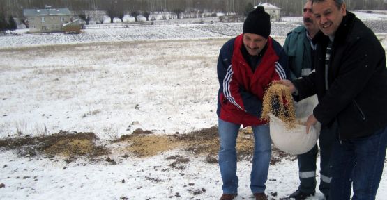 Gümüşhane’de Yabani Hayvanlar Yemleniyor