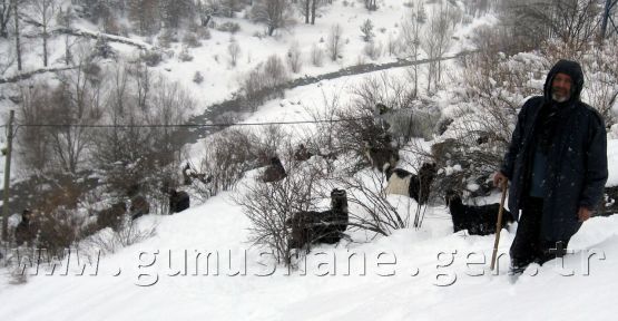 Keçilere Teneffüs Zamanı