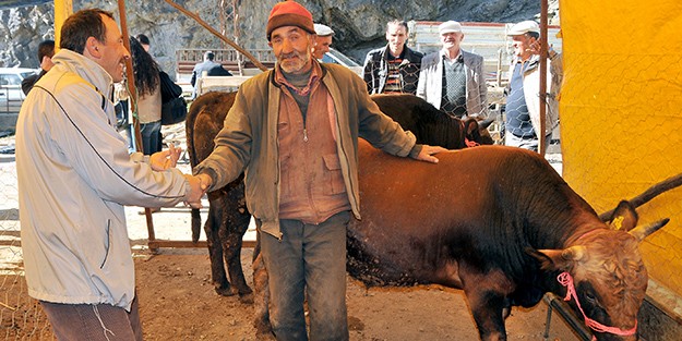 Kurban Pazarında Durgunluk