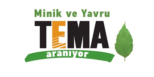 Minik ve Yavru TEMA Aranıyor