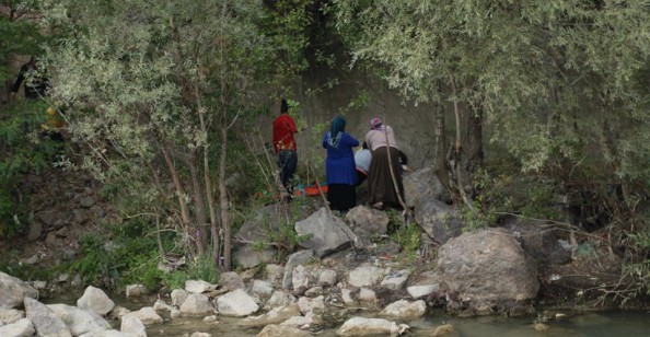 Sevgilisine Küstü, Harşit'e Düştü