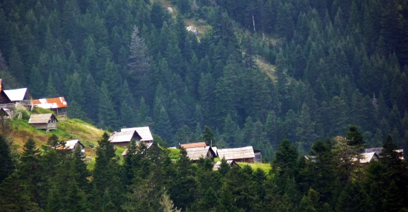 Yayla Şenlikleri ve Festivaller İçin Genelge Yayımlandı