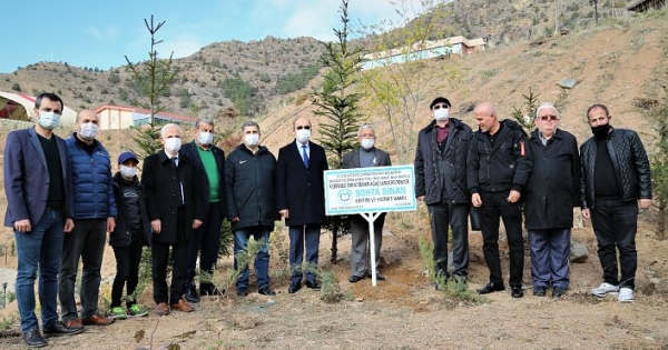 Sohta Sinan Vakfı'ndan GÜ'ye 4 bin fidan bağışı haberi ...